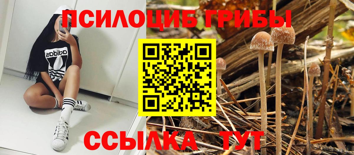 Луга  Галлюциногенные грибы Magic Shrooms  Вход с VPN 