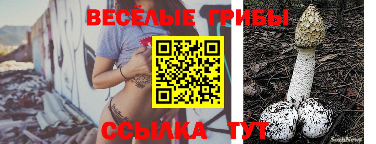 Галлюциногенные грибы Psilocybe Луга